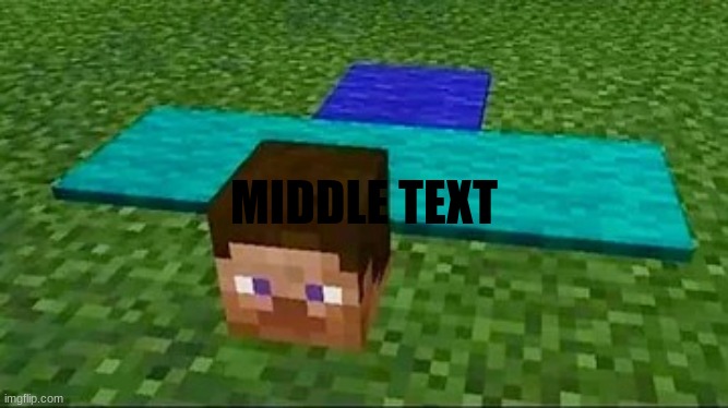 flat steve | MIDDLE TEXT | image tagged in flat steve | made w/ Imgflip meme maker