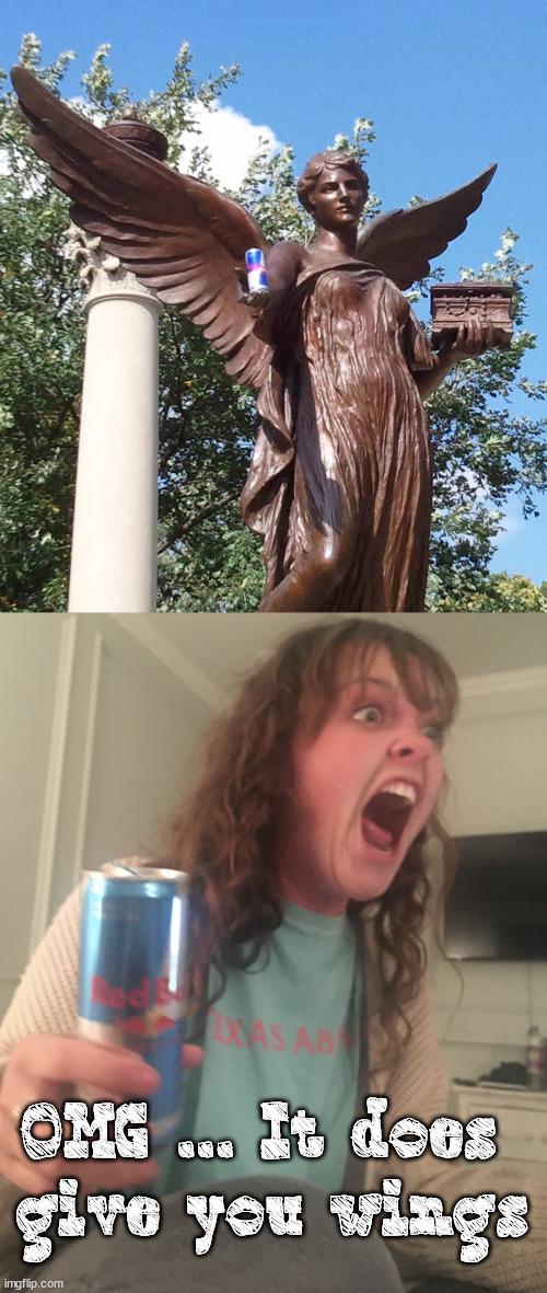 OMG ... It does 
give you wings | image tagged in lafanda with redbull | made w/ Imgflip meme maker