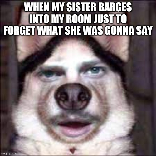 Siblings be like | WHEN MY SISTER BARGES INTO MY ROOM JUST TO FORGET WHAT SHE WAS GONNA SAY | image tagged in cursed image | made w/ Imgflip meme maker