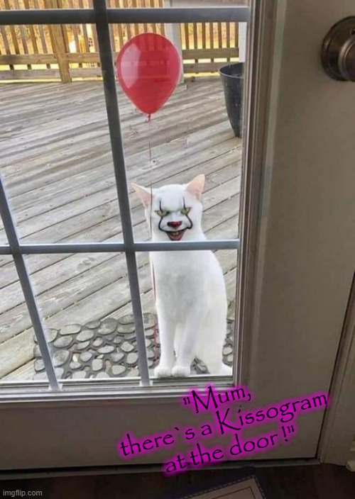 Scary Cat ! | "Mum,
there`s a Kissogram
at the door !" | image tagged in kiss my ass | made w/ Imgflip meme maker