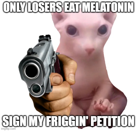 Gun Bingus | ONLY LOSERS EAT MELATONIN; SIGN MY FRIGGIN' PETITION | image tagged in gun bingus | made w/ Imgflip meme maker