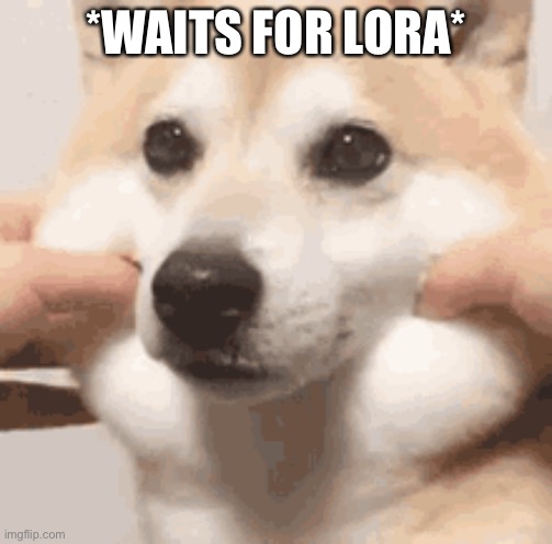 Me amsh loyal | *WAITS FOR LORA* | made w/ Imgflip meme maker