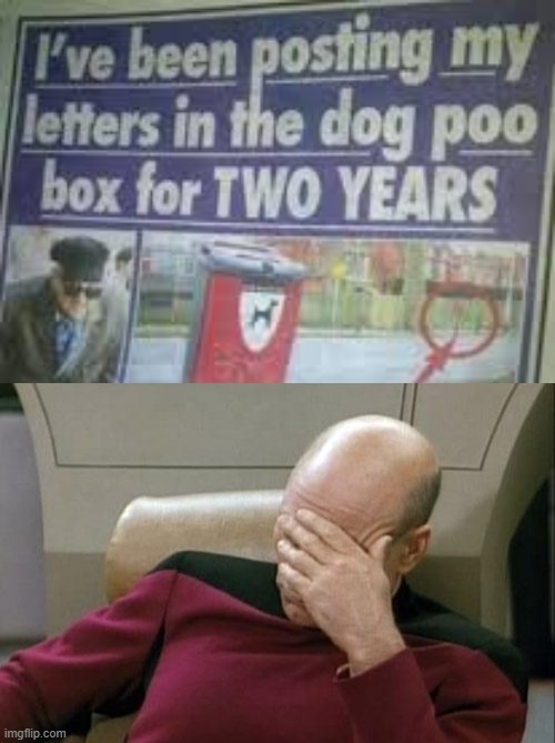 h o w | image tagged in memes,captain picard facepalm | made w/ Imgflip meme maker