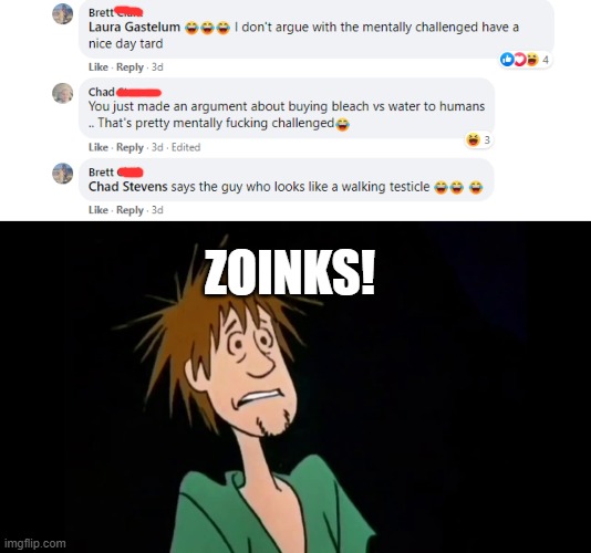 Facebook comments are hilarious sometimes. | ZOINKS! | image tagged in zoinks | made w/ Imgflip meme maker