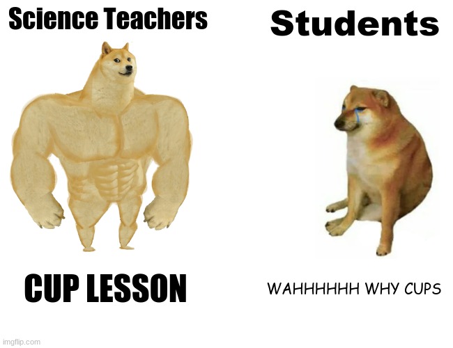 haha 6th grade science be like | Science Teachers; Students; CUP LESSON; WAHHHHHH WHY CUPS | image tagged in memes,buff doge vs cheems | made w/ Imgflip meme maker