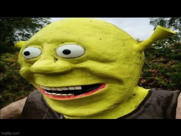 Surprised Shrek | image tagged in surprised shrek | made w/ Imgflip meme maker