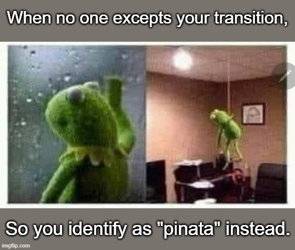 When no one excepts your transition, So you identify as "pinata" instead. | image tagged in dark humor | made w/ Imgflip meme maker