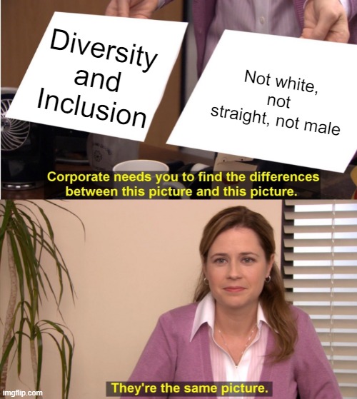 They're The Same Picture Meme | Diversity and Inclusion; Not white, not straight, not male | image tagged in memes,they're the same picture | made w/ Imgflip meme maker