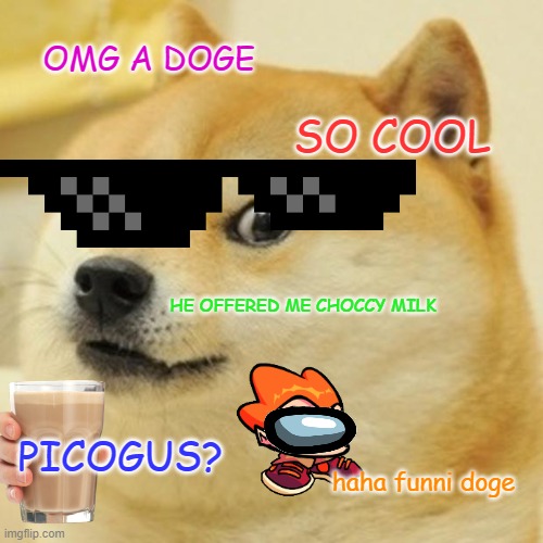 COOL DOGE BROOO | OMG A DOGE; SO COOL; HE OFFERED ME CHOCCY MILK; PICOGUS? haha funni doge | image tagged in memes,doge | made w/ Imgflip meme maker