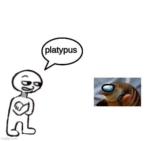 platypUS |  platypus | image tagged in amogus | made w/ Imgflip meme maker