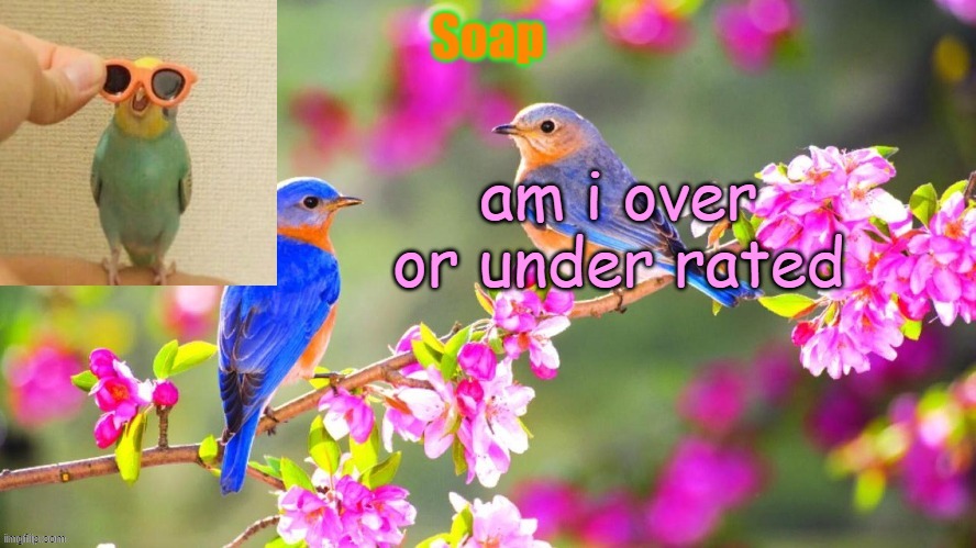 Soap bird tempo | am i over or under rated | image tagged in soap bird tempo ty yachi | made w/ Imgflip meme maker
