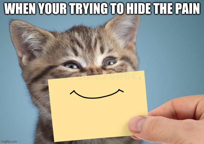 Pain | WHEN YOUR TRYING TO HIDE THE PAIN | image tagged in cat with smile | made w/ Imgflip meme maker