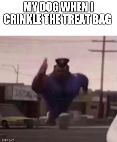 Is It ture! | MY DOG WHEN I CRINKLE THE TREAT BAG | image tagged in officer earl running,funny,memes,barney will eat all of your delectable biscuits,dogs,animals | made w/ Imgflip meme maker