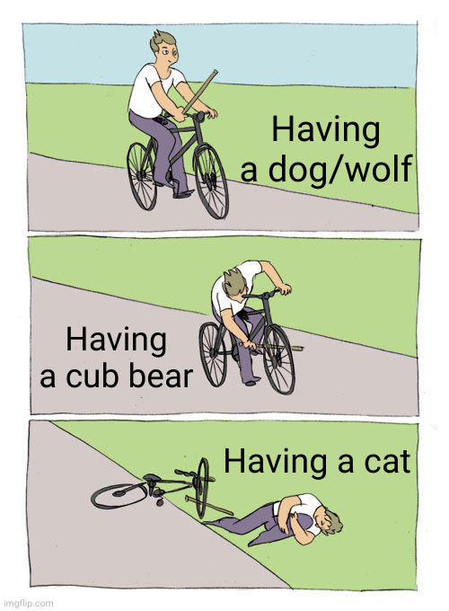 having pet be like | Having a dog/wolf; Having a cub bear; Having a cat | image tagged in memes,bike fall | made w/ Imgflip meme maker