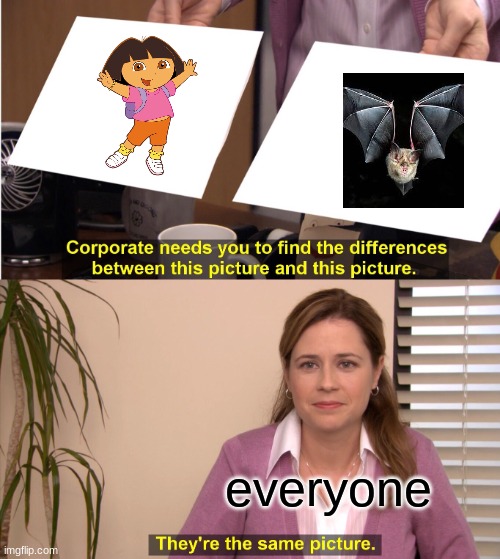 They're The Same Picture Meme | everyone | image tagged in memes,they're the same picture | made w/ Imgflip meme maker