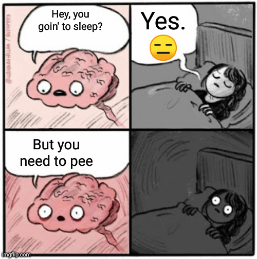 Brain Before Sleep | Yes. 😑; Hey, you goin' to sleep? But you need to pee | image tagged in brain before sleep | made w/ Imgflip meme maker