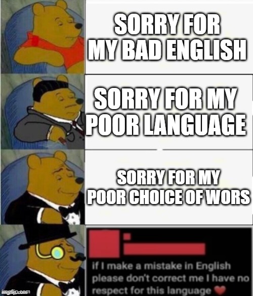 SoRrY fOr My BaD eNgLiSh | SORRY FOR MY BAD ENGLISH; SORRY FOR MY POOR LANGUAGE; SORRY FOR MY POOR CHOICE OF WORS | image tagged in tuxedo winnie the pooh 4 panel | made w/ Imgflip meme maker