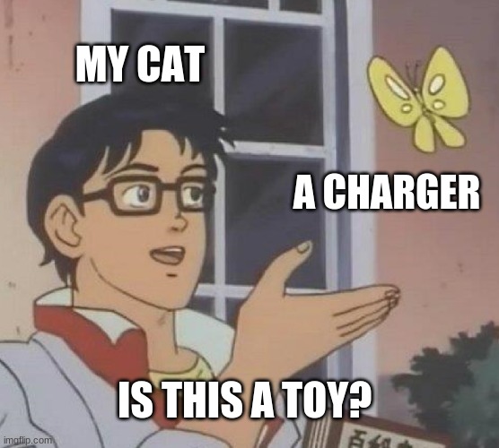 Is This A Pigeon Meme | MY CAT; A CHARGER; IS THIS A TOY? | image tagged in memes,is this a pigeon | made w/ Imgflip meme maker