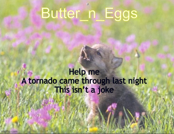 I’m serious and I’m also scared of thunder now | Butter_n_Eggs; Help me
A tornado came through last night
This isn’t a joke | image tagged in mine | made w/ Imgflip meme maker
