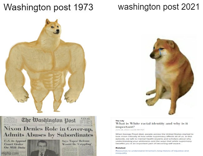 Washington Compost | Washington post 1973; washington post 2021 | image tagged in memes,buff doge vs cheems,washington post,biased media,media lies | made w/ Imgflip meme maker