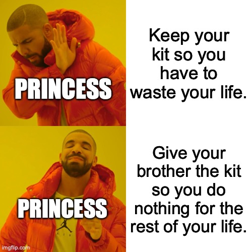 Princess having thoughts | Keep your kit so you have to waste your life. PRINCESS; Give your brother the kit so you do nothing for the rest of your life. PRINCESS | image tagged in memes,drake hotline bling,warrior cats | made w/ Imgflip meme maker