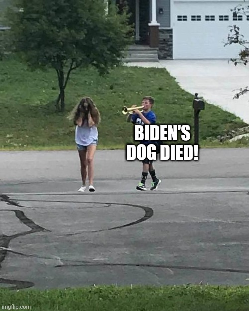 You know the thing | BIDEN'S DOG DIED! | image tagged in trumpet boy | made w/ Imgflip meme maker