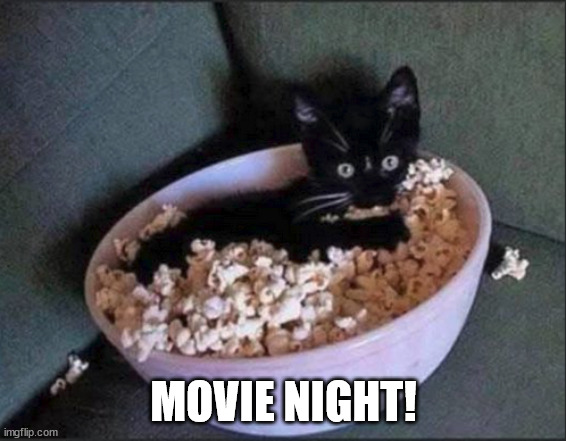 Movie Night! | MOVIE NIGHT! | image tagged in cats,movies | made w/ Imgflip meme maker