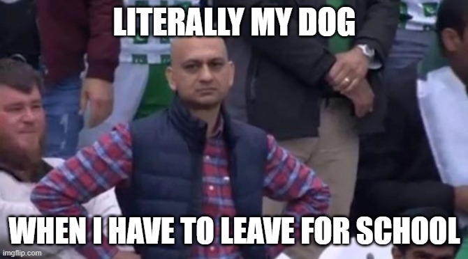 Sad doggo | LITERALLY MY DOG; WHEN I HAVE TO LEAVE FOR SCHOOL | image tagged in muhammad sarim akhtar | made w/ Imgflip meme maker