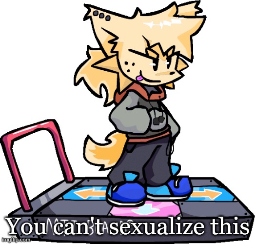 It's impossible | You can't sexualize this | image tagged in ms night funkin theonlyrandomdoggo but i made him kapi this time | made w/ Imgflip meme maker
