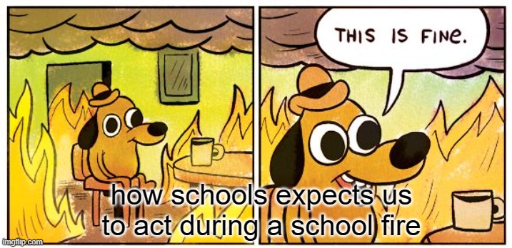 How schools except us to be like during a fire | how schools expects us to act during a school fire | image tagged in memes,this is fine | made w/ Imgflip meme maker