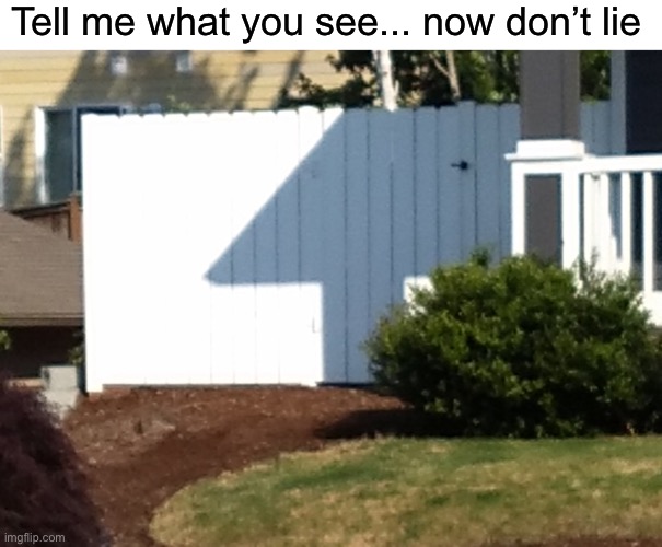 Answer in the comments | Tell me what you see... now don’t lie | image tagged in upvote,funny,unexpected,memes | made w/ Imgflip meme maker