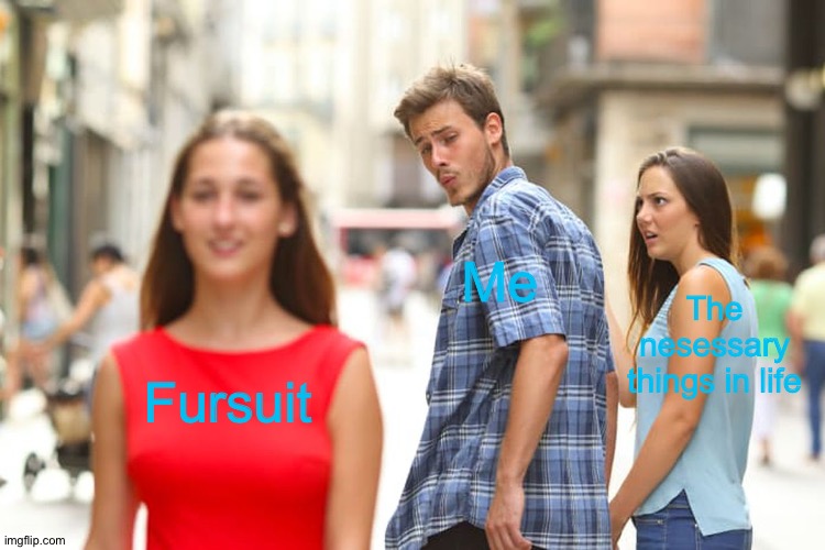 Distracted Boyfriend Meme | Me; The nesessary things in life; Fursuit | image tagged in memes,distracted boyfriend | made w/ Imgflip meme maker