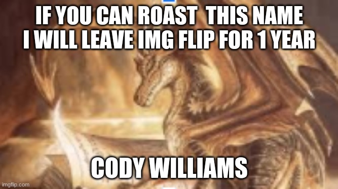 my meme | IF YOU CAN ROAST  THIS NAME I WILL LEAVE IMG FLIP FOR 1 YEAR; CODY WILLIAMS | image tagged in reading dragon | made w/ Imgflip meme maker