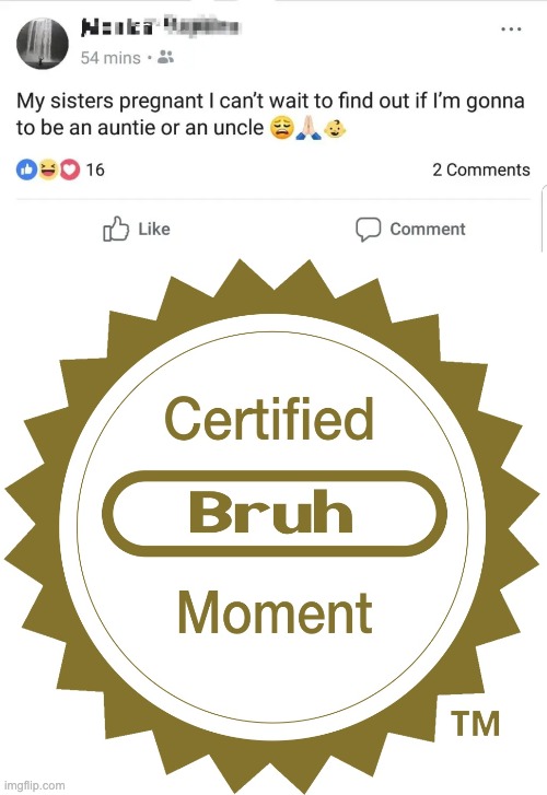 BRUHHSDKJCNSKD | image tagged in certified bruh moment | made w/ Imgflip meme maker