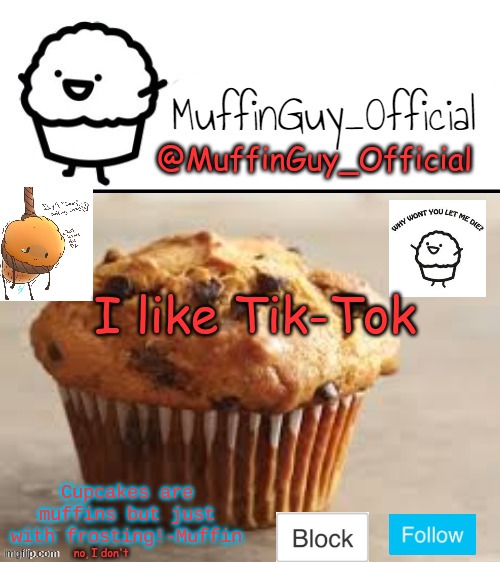 e | I like Tik-Tok; no, I don't | image tagged in muffinguy_official's template | made w/ Imgflip meme maker