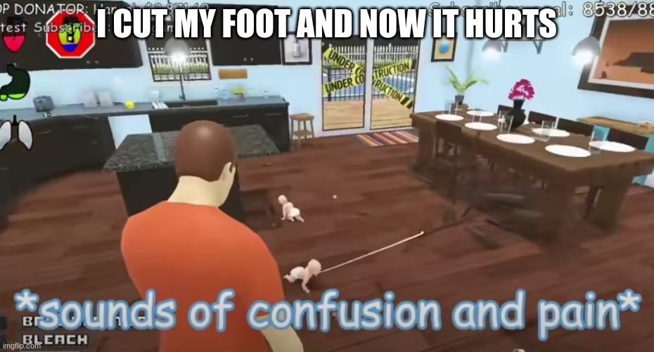 It hurtsssssssssssssss | I CUT MY FOOT AND NOW IT HURTS | image tagged in sounds of confusion and pain | made w/ Imgflip meme maker