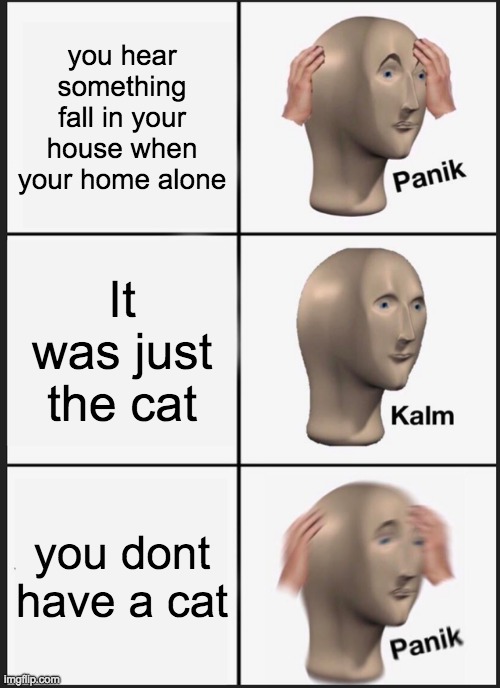 Panik Kalm Panik | you hear something fall in your house when your home alone; It was just the cat; you dont have a cat | image tagged in memes,panik kalm panik | made w/ Imgflip meme maker