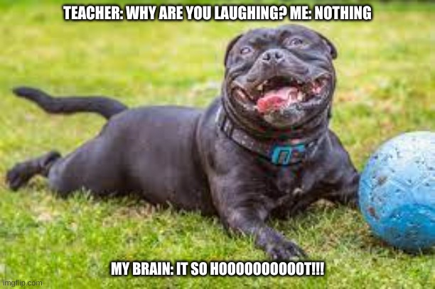 its so hot | TEACHER: WHY ARE YOU LAUGHING? ME: NOTHING; MY BRAIN: IT SO HOOOOOOOOOOT!!! | image tagged in hot | made w/ Imgflip meme maker