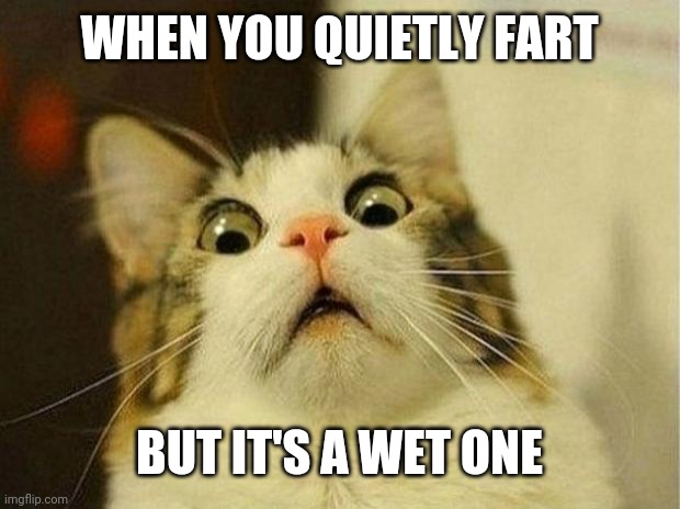 Scared Cat Meme | WHEN YOU QUIETLY FART; BUT IT'S A WET ONE | image tagged in memes,scared cat | made w/ Imgflip meme maker