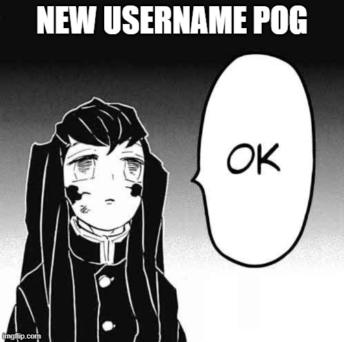 demon slayer ok | NEW USERNAME POG | image tagged in demon slayer ok | made w/ Imgflip meme maker