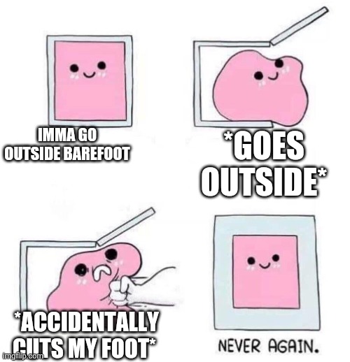 Learned my lesson about going barefoot. | IMMA GO OUTSIDE BAREFOOT; *GOES OUTSIDE*; *ACCIDENTALLY CUTS MY FOOT* | image tagged in never again | made w/ Imgflip meme maker