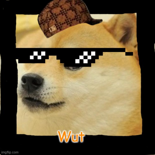 Wut | Wut | image tagged in memes,doge | made w/ Imgflip meme maker