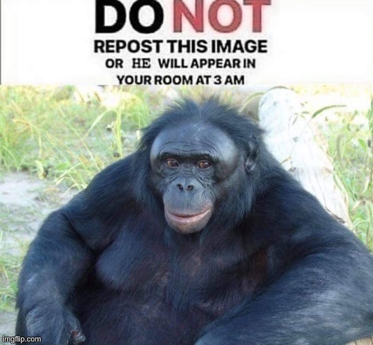 i want monke friend | made w/ Imgflip meme maker