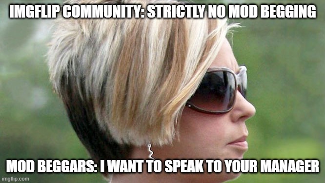 nobody gon' get dem mods lyk dat lol | IMGFLIP COMMUNITY: STRICTLY NO MOD BEGGING; MOD BEGGARS: I WANT TO SPEAK TO YOUR MANAGER | image tagged in karen | made w/ Imgflip meme maker