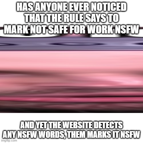 ehhhhhhhhhhh    -ssundee | HAS ANYONE EVER NOTICED THAT THE RULE SAYS TO MARK NOT SAFE FOR WORK NSFW; AND YET THE WEBSITE DETECTS ANY NSFW WORDS, THEM MARKS IT NSFW | image tagged in ehhhhhhhhhh | made w/ Imgflip meme maker