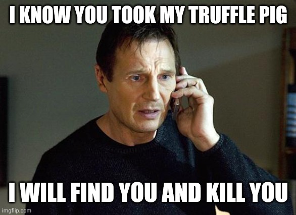 taken | I KNOW YOU TOOK MY TRUFFLE PIG; I WILL FIND YOU AND KILL YOU | image tagged in taken | made w/ Imgflip meme maker