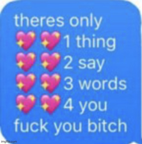 f*ck you bitch | image tagged in f ck you bitch | made w/ Imgflip meme maker