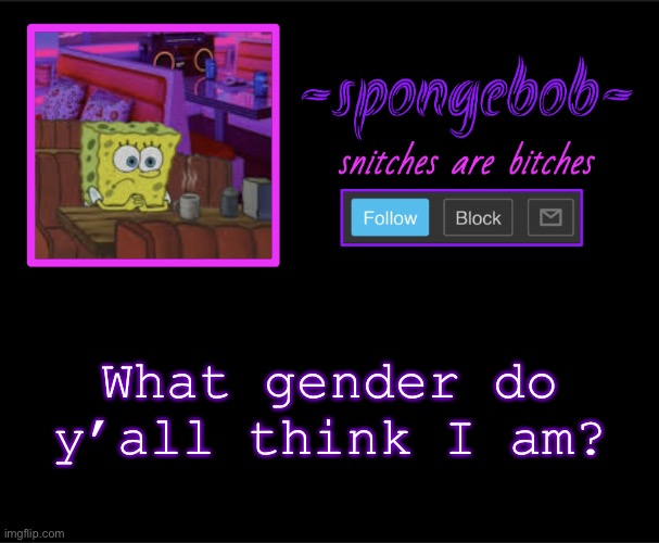 Sponge neon temp | What gender do y’all think I am? | image tagged in sponge neon temp | made w/ Imgflip meme maker