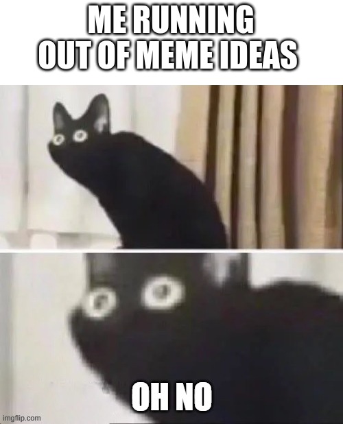 Im out! | ME RUNNING OUT OF MEME IDEAS | image tagged in oh no cat,oh no,sad,funny | made w/ Imgflip meme maker