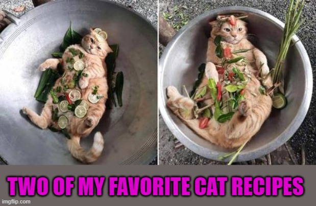 TWO OF MY FAVORITE CAT RECIPES | made w/ Imgflip meme maker